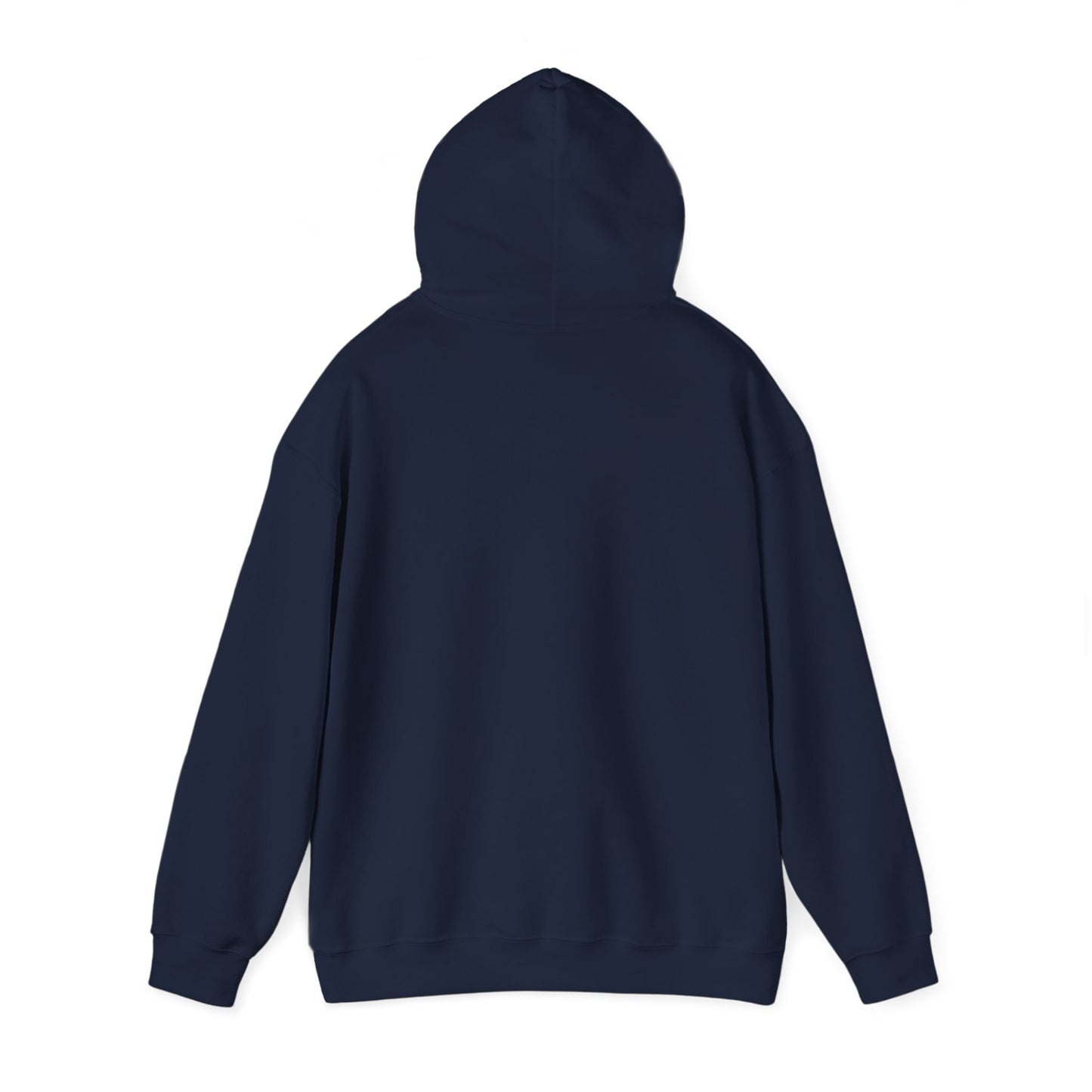 New Frontiers Hoodie, Gaming heavy blend hoodie, 4 colours, AUS-USA-CAN warehouse, local post.